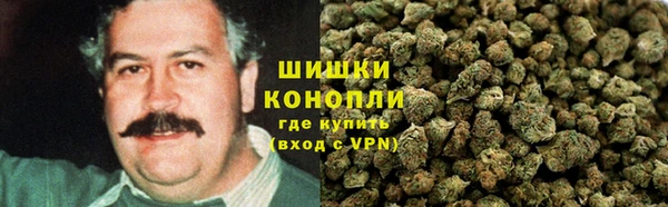 шишки Новозыбков