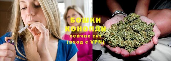 ПСИЛОЦИБИНОВЫЕ ГРИБЫ Нягань