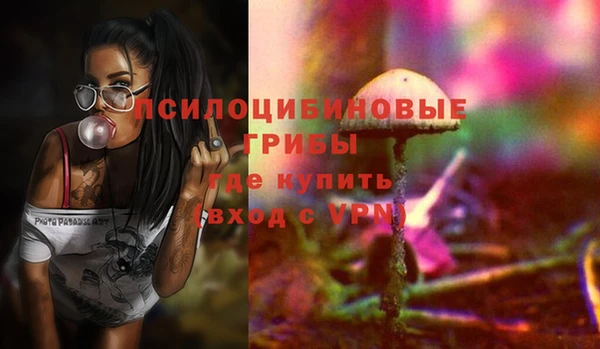 прущая мука Няндома