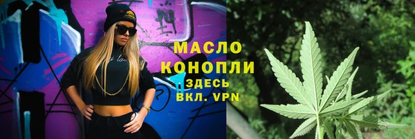 шишки Новозыбков