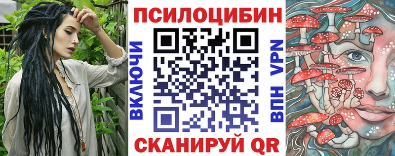 Галлюциногенные грибы Magic Shrooms  где купить   Павловский Посад 