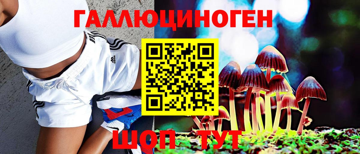 Павловский Посад  Галлюциногенные грибы Magic Shrooms  Вход с VPN 
