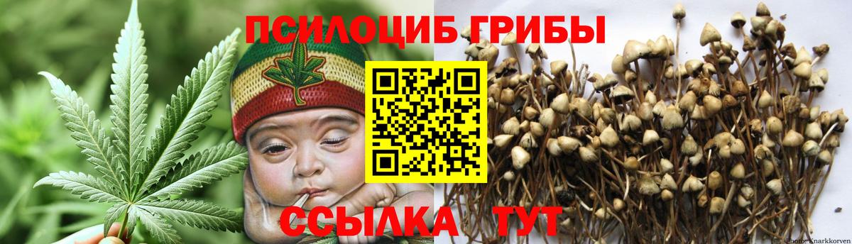 Галлюциногенные грибы Psilocybe  Павловский Посад 