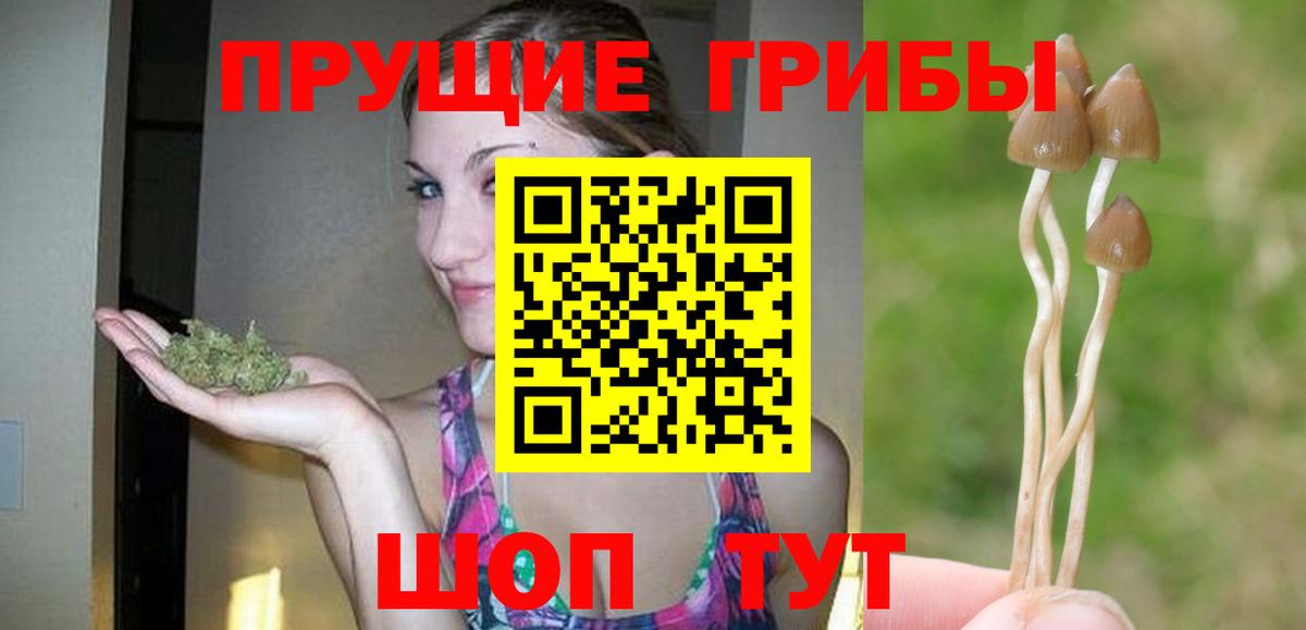 Псилоцибиновые грибы Psilocybe Павловский Посад
