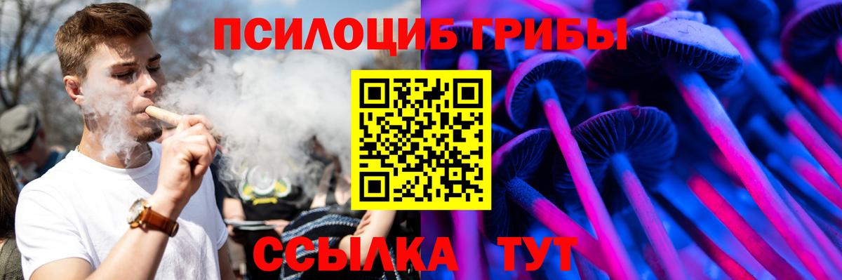 Галлюциногенные грибы мухоморы Павловский Посад